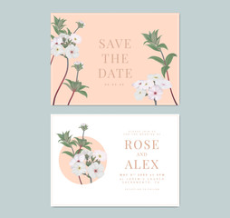 Botanical wedding invitation card template design, Woolly rock jasmine flowers on light orange and white