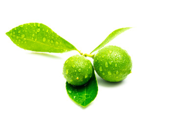 Green Lime isolate on white background