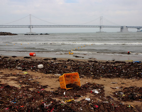Environment pollution appear at gwangalli beach after typoon, Busan, South Korea, Asia