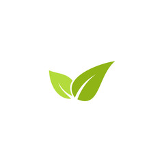 green leaf eco vector logo