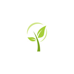 green leaf tree vector design logo