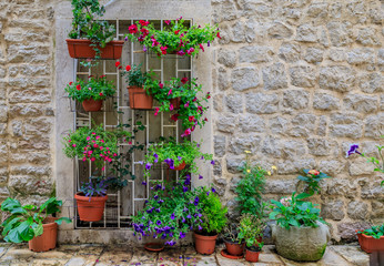 Picturesque stone wall in the streets of a preserved medieval Old town with colorful potted flowers in Budva, Montenegro