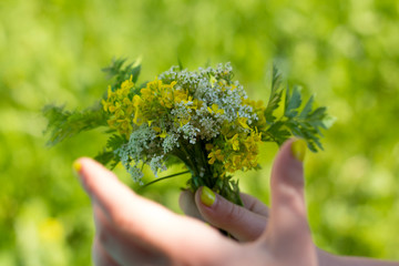 a small bouquet of modest wildflowers in a woman's hand