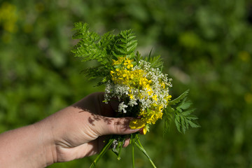 a small bouquet of modest wildflowers in a woman's hand