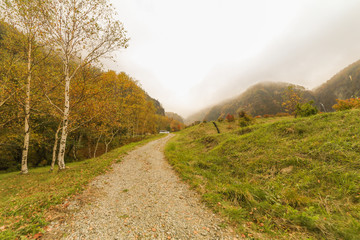 Fototapeta na wymiar Beautiful view of Japan autumn in Obuse park ,Nagano Prefecture,Japan.