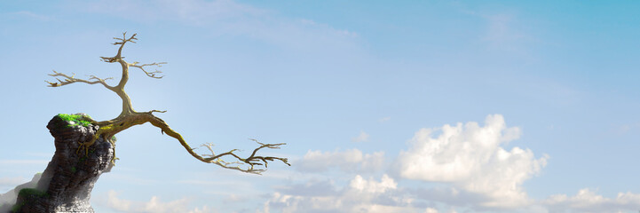 old tree growing on a rock, fairy tale landscape with empty space