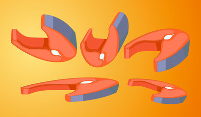 Salmon fish vector illustration design