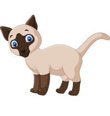Cartoon cute siamese cat on a white background