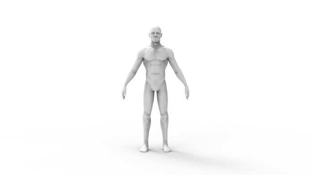 3d rendering of a male cad model person isolated in white background