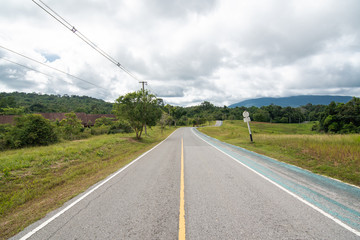 Country road in green forest.