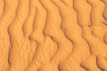 The structure of dunes in the desert, Dubai, United Arab Emirates.Close up.Areal view.