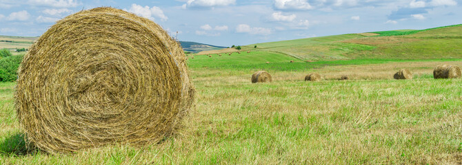 Haystack harvest agriculture field landscape. Agriculture field haystack.