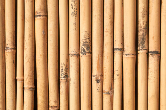 Canneto di bambù - particolare