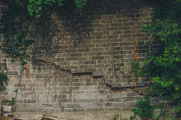  Copy space in center or left  Fallen wall