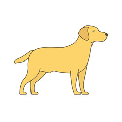 Dog. Animal pets. Labrador retriever. Vector illustration.