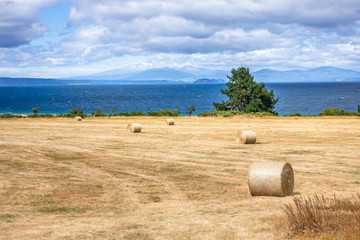 Lake Taupo New Zealand