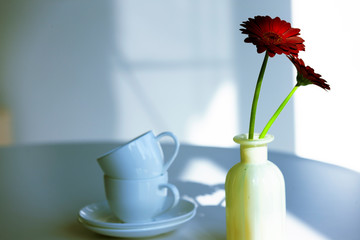 ティーカップとガーベラ