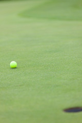 グリーンを転がるゴルフボール