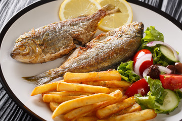 fried Salema porgy fish with lemon and side dish of fresh vegetable salad close-up on a plate. horizontal