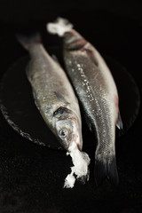 Dead fish and ocean pollution, plastic bag in environment. Sea wild life, ecosystem hazard.