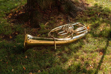 A brass horn lies in the grass before an open air concert