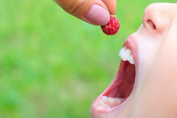 Mom puts ripe strawberries in her daughter's mouth. Season berries. Care and love