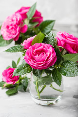 Amazing wild pink roses