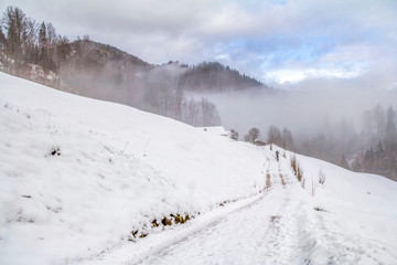 Fototapeta na wymiar bavarian winter scenery
