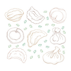 Vector set of dumplings with spice. Sketch hand drawn Ravioli. Vareniki. Pelmeni. Meat dumplings. Food. Cooking. National dishes. Products from the dough and meat.