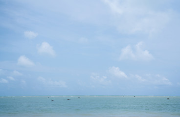 texture, high resolution, clear, ocean, sea, open, horizontal, overcast, scenic, peace, blue-sky, season, natural, field, landscape, color, concept, bright, high, cumulus, freedom, cloudscape, backgro