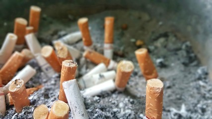 cigarettes in a ashtray