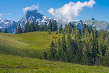 Obraz premium Beautiful swiss alps mountains. Alpine meadows