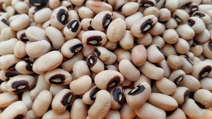 white beans background
