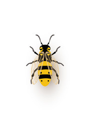 Honeybee, tiny insect flat vector illustration