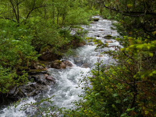 Obraz premium Forest stream among the Siberian taiga. Park Ergaki West Sayan