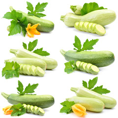 Fresh zucchini on a white background