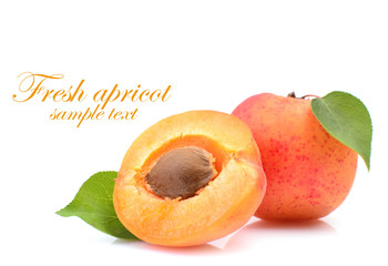 Fresh apricot on white background