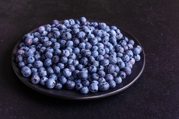 Blueberry antioxidant organic superfood in a bowl concept for healthy eating and nutrition