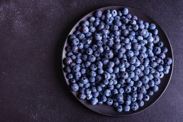 Blueberry antioxidant organic superfood in a bowl concept for healthy eating and nutrition