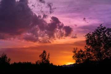 Obraz na płótnie Canvas Silhouette of tree on twilight sky at evening.