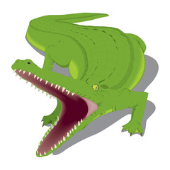 Obraz premium Cartoon crocodile isolated on white background
