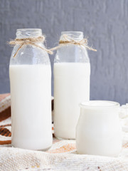Obraz na płótnie Canvas Bottles of milk and yogurt