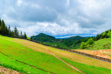 Fototapeta na wymiar mountain grassland landscape in the summer time