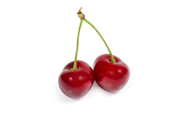 Two red sweet cherries on stalks on white background