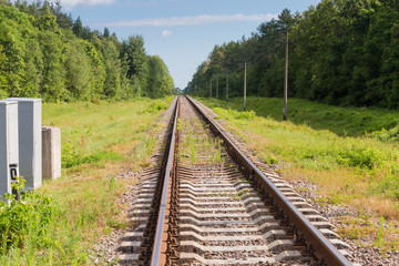 Fototapeta premium Single modern railroad tracks in the forest