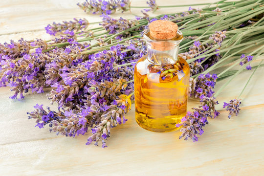 Lavender essential oil in a glass bottle with a bouquet of fresh blooming lavender flowers on a rustic wooden background with a place for text, toned image
