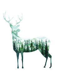 deer with a mountain landscape and beautiful firs painted on paper with watercolor interior poster