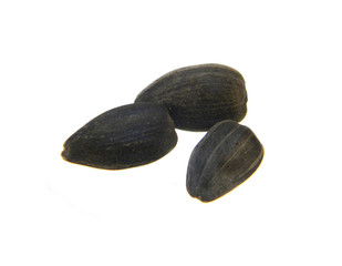sunflower seeds isolated on white background