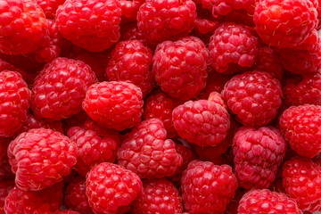 Many ripe raspberry as background