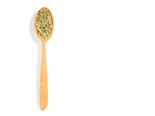 Spice Fennel (Foeniculum vulgare) in a wooden spoon on a white background